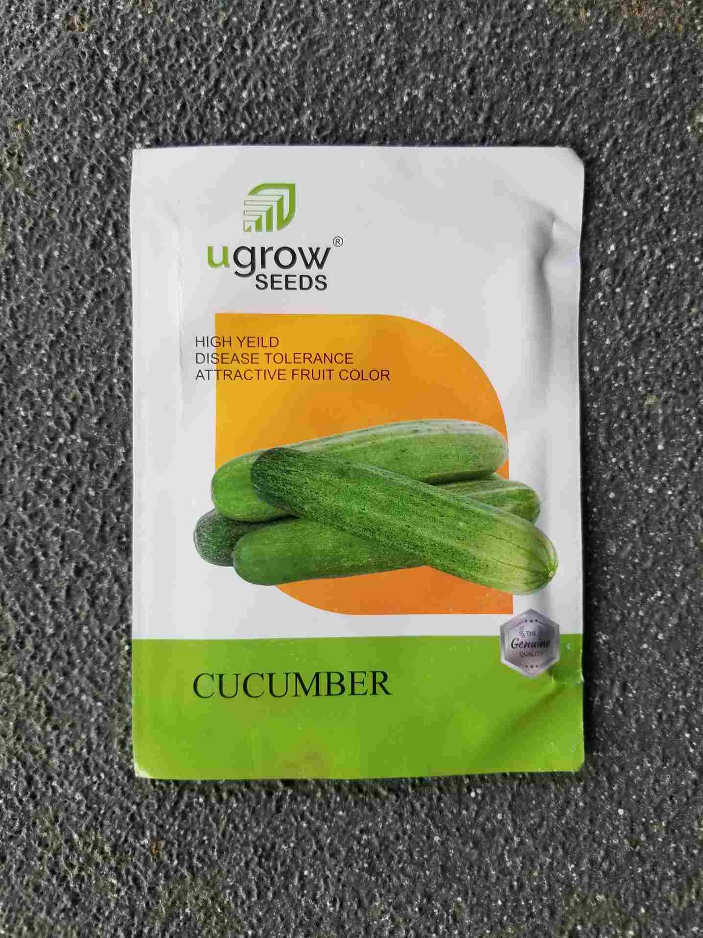 Cucumber