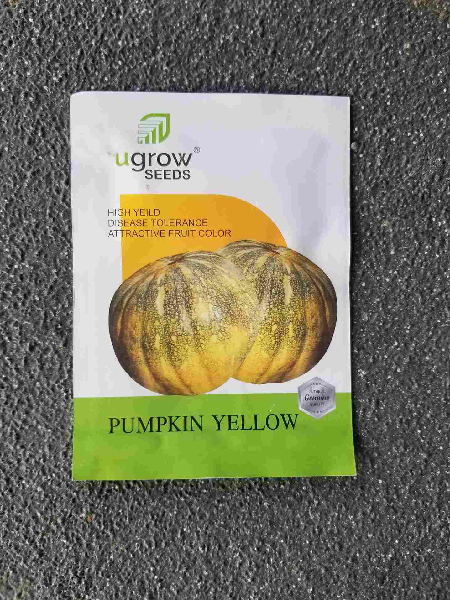 Pumpkin Yellow