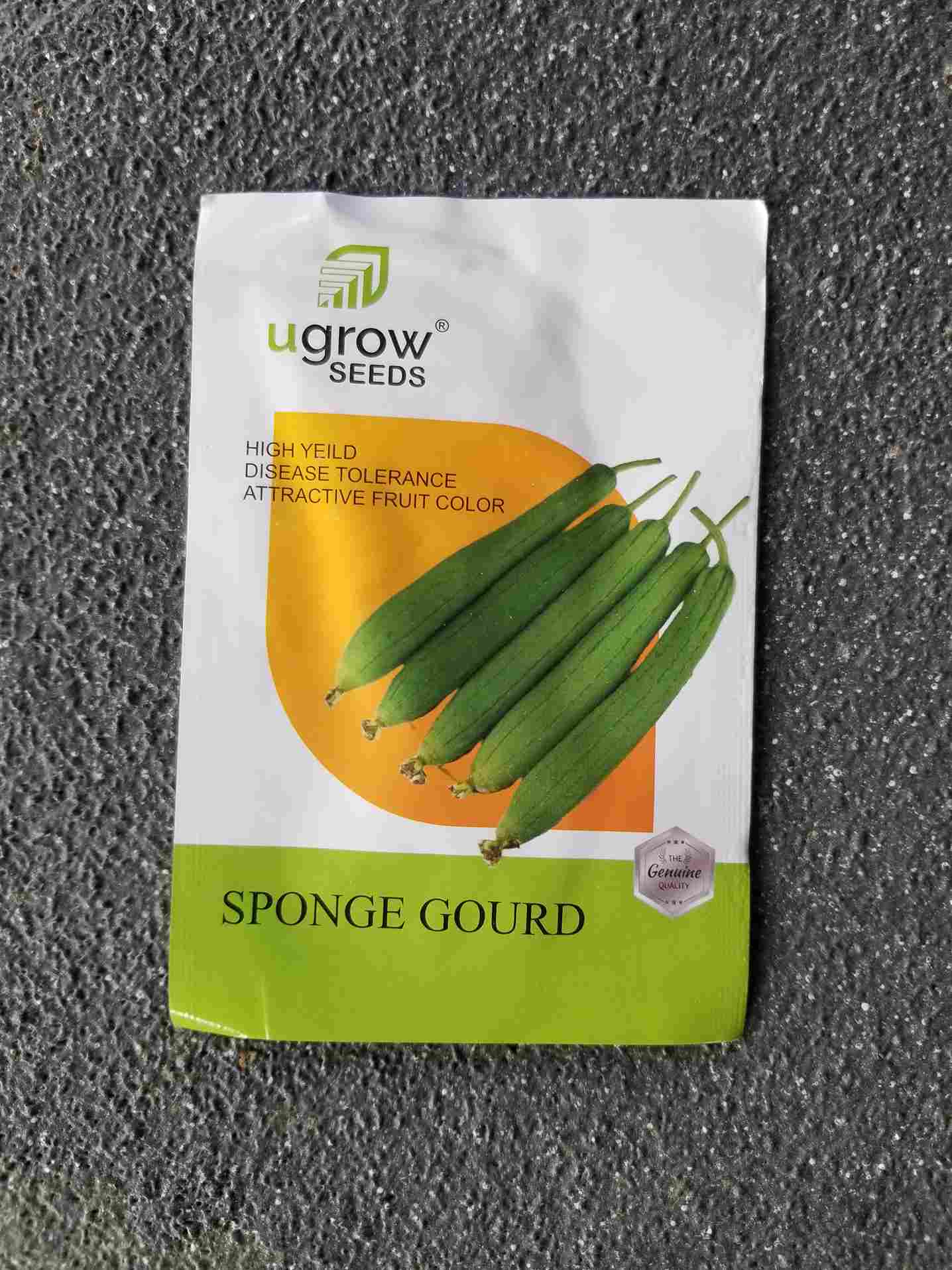 Sponge Gourd