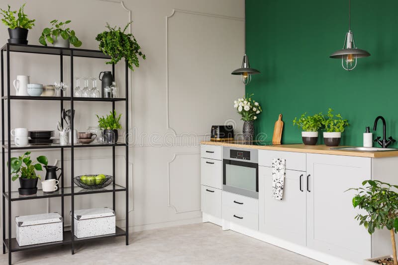 Kitchen Plants