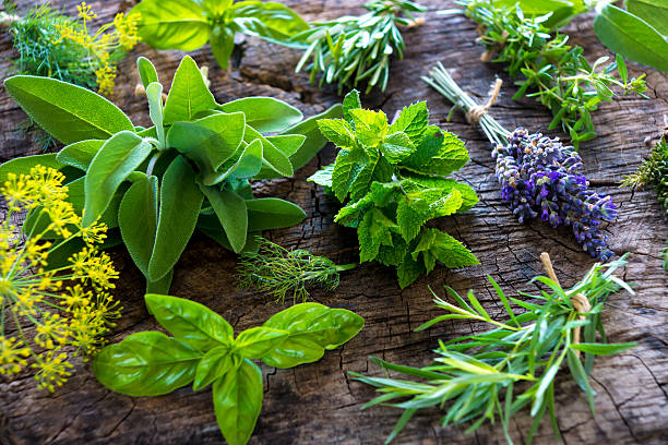MEDICINAL