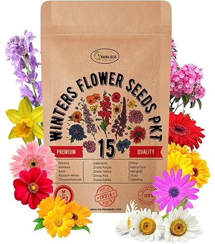 WINTER FLOWER