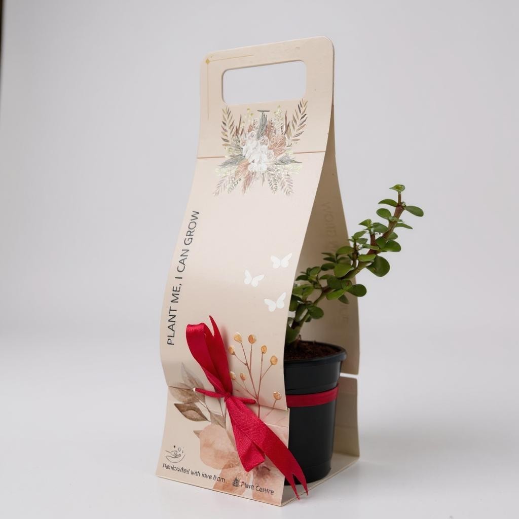 GIFT FOR OFFICE